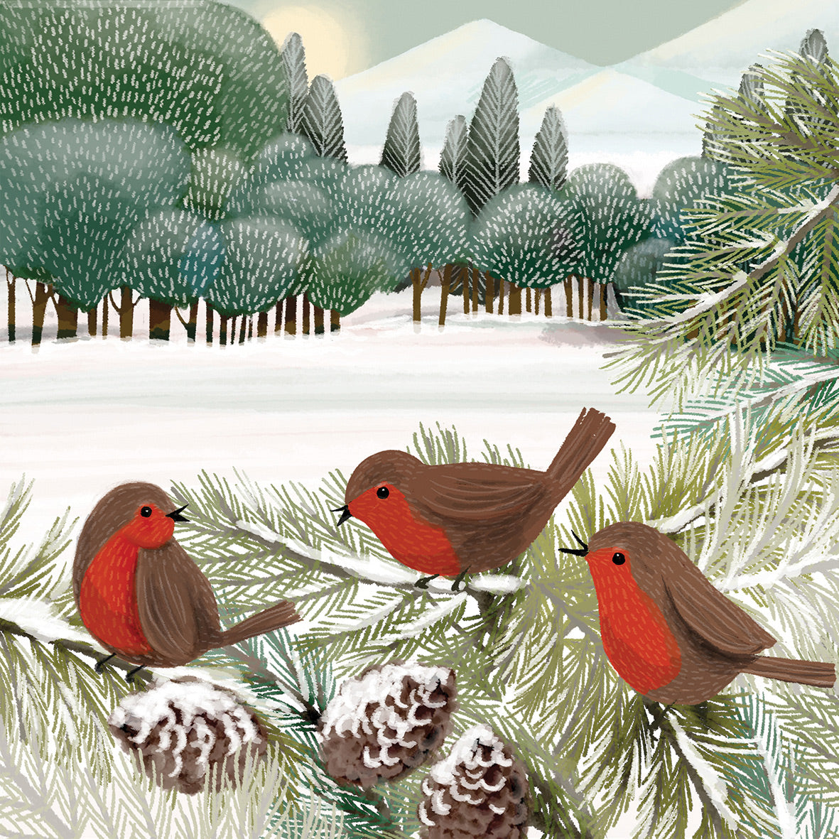 Servetten Meadow Birds